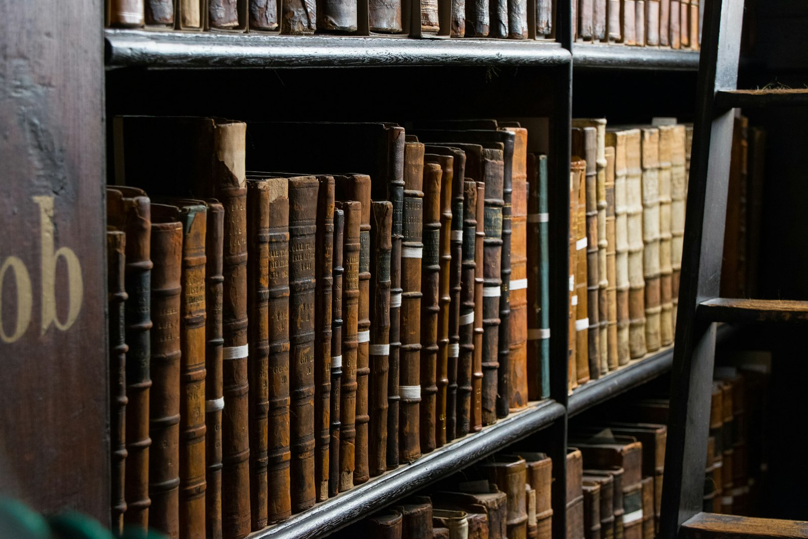 Law library shelves